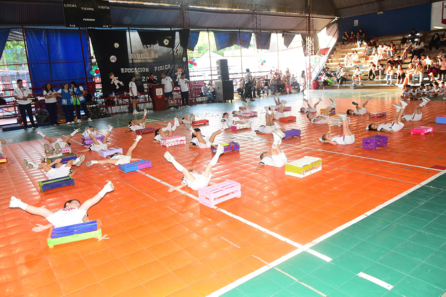 Muestra Anual de Educación Física Nivel Inicial y Primario